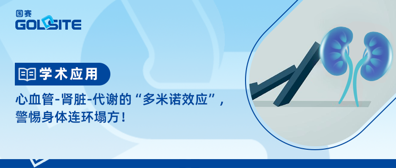 心血管-肾脏-代謝(xiè)的“多(duō)米诺效应”，警惕身體(tǐ)连环塌方！