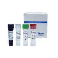 Kit de PCR Monkeypox Virus (MPXV)