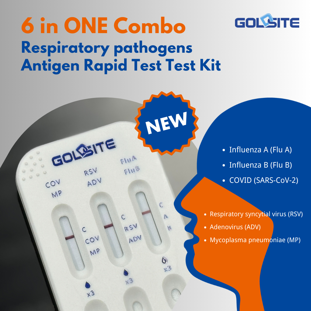 goldsite 6 in one combo 3 Goldsite 6 in einer Kombination 3