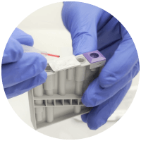 step 1 add sample الخطوة 1 إضافة عينة